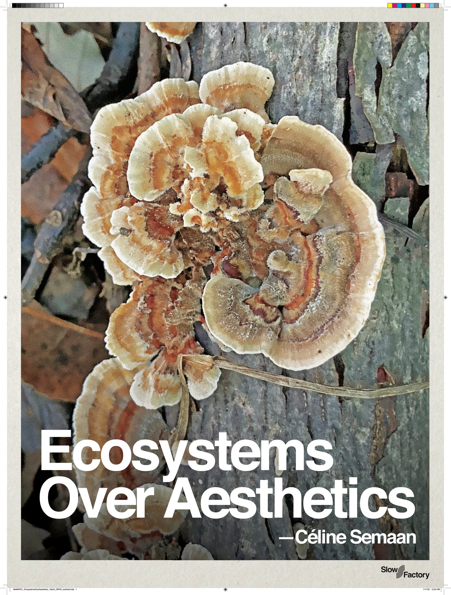 Ecosystems Over Aesthetics